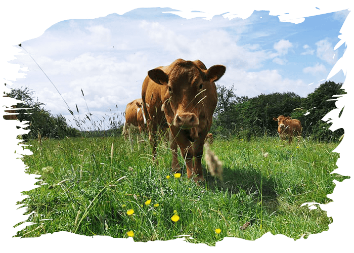 La Ferme de la Herse